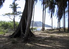 Puerto Vallarta El moneton Beach trees to Lagoon  Puerto Vallarta
